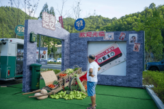 解当前存正在的参取从体碎片化、文化传承断层
